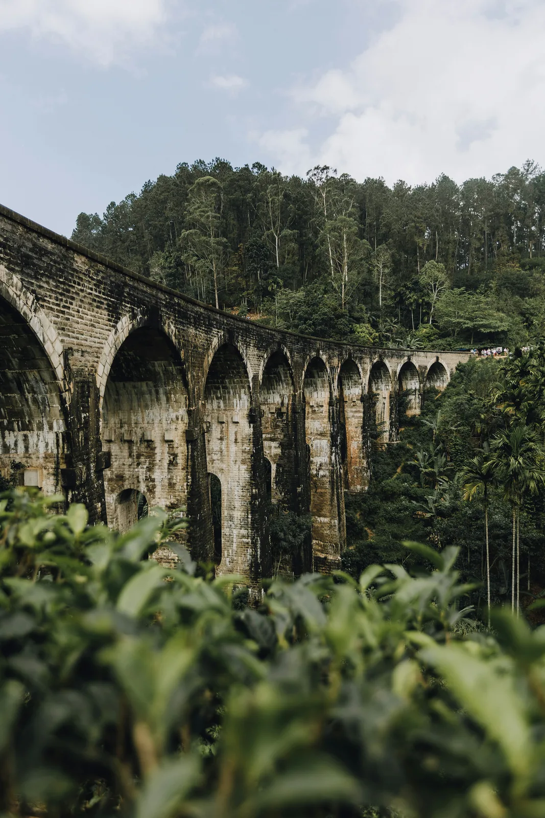 Riding the Train Through Sri Lanka's Hill Country